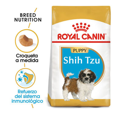 Royal Canin Puppy Shih Tzu pienso para perros
